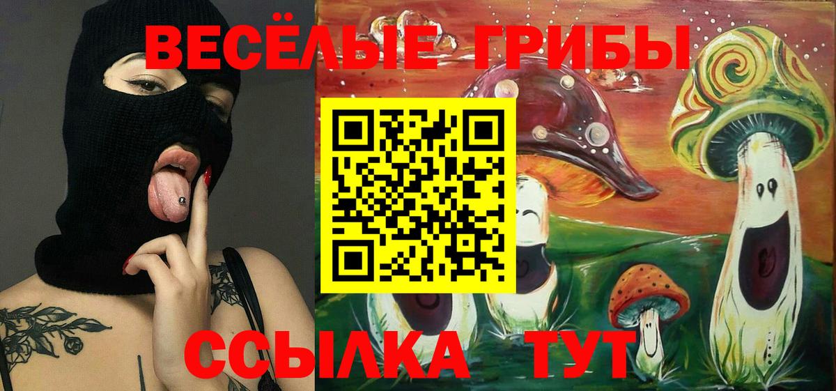 Псилоцибиновые грибы мухоморы  Вход с VPN  Шатура 