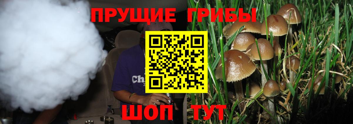 Галлюциногенные грибы GOLDEN TEACHER Шатура