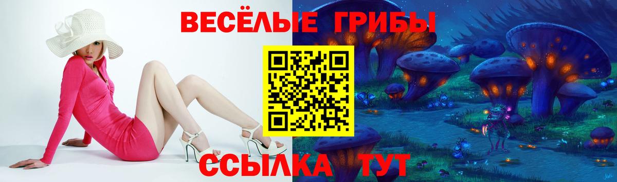 Галлюциногенные грибы MAGIC MUSHROOMS  Шатура 